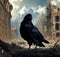 Black crow in city ruins