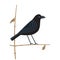 Black crow on tree minimalist flat vector icon