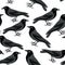 Black crows seamless pattern. Vector illustration on white background