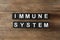 Black cubes with phrase Immune System on wooden table, flat lay
