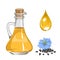 Black cumin seed oil and drop. Vector illustration of glass bottle with oil and Nigella sativa flower