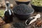 Black cumin seeds and oil bottle, aromatic spices on table. Ingredients for cooking. Ayurveda treatments