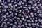 Black currant. Background of berries. Fresh organic currant from