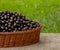 Black currant basket on wooden table on the green background