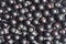 black currant berries close-up, top view. Black berry background