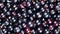 Black currant. Close up of black fresh currant berries. Healthy eating, vegetarian food.