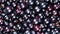 Black currant closeup rotation top view. Rich crop of berries of black currant.