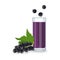 Black currant juice in a glass glass, next to black currant berries. White background, isolate. Vector illustration