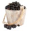 Black currant in a wooden bucket