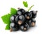 Black currants