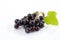 Black currants, white background