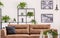 Black cushion on brown leather sofa in white living room interior with plants and posters. Real photo