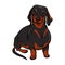 Black Dachshund Dog. Hand-drawn Dog. Realistically Painted Dachshund. Stock vecktor illustration. White background. Heart icon