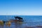 Black dachshund standing on rocks in blue water, weiner dog on lake