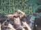 The Black Dahlia Murder Heavy Metal Concert
