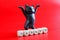 Black dancing toy cat and inscription banned on bright red background. Concept of banned internet forum, chat room, website,