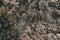 Black Dark Soil Dirt Background Texture, Natural Pattern. Flat Top View. Clods of Earth