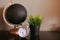 Black decorative globe and clock standing on table near houseplant.
