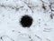 Black deep round vertical burrow in the ground among the snow in winter