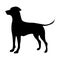 Black detailed standing dog silhouette, outline, vector illustration