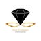 Black Diamond resting on a golden infinity symbol, Jewelry logo design