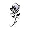 Black diamond rose icon