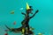 black dinosaur wearing yellow party hat anf falling confetti a blue background