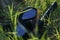 black diving mask and snorkel lie in the grass