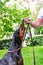 Black dobermans tries to pull the leash out of the hands of the owner