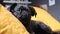 Black dog griffon with funny face laying home. Funny face with big eyes. Slowmotion.