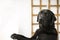 Black dog leaning out the window at home. Copyspace. Cute animal. Labrador dog
