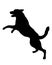 Black dog silhouette. Jumping east european shepherd. Pet animals. Isolated on a white background