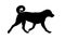 Black dog silhouette. Running appenzeller sennenhund puppy. Appenzeller cattle dog or mountain dog. Pet animals. Isolated on a