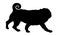 Black dog silhouette. Running chinese pug puppy. Dutch bulldog or mini mastiff. Pet animals. Isolated on a white background