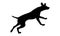 Black dog silhouette. Running and jumping dalmatian dog puppy. Pet animals. Isolated on a white background