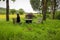 Black dog sitting on a bench at a picnic table