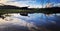 Black dog on walk along the water, sky, clouds and vegetation reflected in water