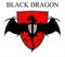 Black Dragon Over the Red Shield