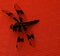 Black Dragonfly on Red Table