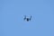 A black drone with a video-camera is flying in the blue cloudless sky. The concept of video surveillance and shooting from above.