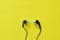 Black earphone for connecting with mobile phon arranging on yellow foam board background