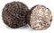 Black edible winter truffle on white background. The most famous of the truffles