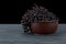 Black elderberries in clay bowl on rustic wooden table. Sambucus nigra