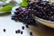 Black elderberries, Sambucus nigra, in enamel bowl. Copy space