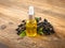 Black Elderberry Oil Isolated, Sambucus Berries, Ripe Danewort, Elder berry on white background