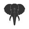 Black Elephant in flat on white background.