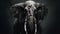 Black Elephant: A Post-apocalyptic Horror Academia With Poignant Symbolism