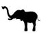 Black elephant silhouette. Vector shadow.