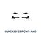 black eyebrows and eyelashes, contour style trend modern graphic art design on white, of simple emblem for microblading icon,