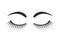 Black eyebrows and eyelashes logo
